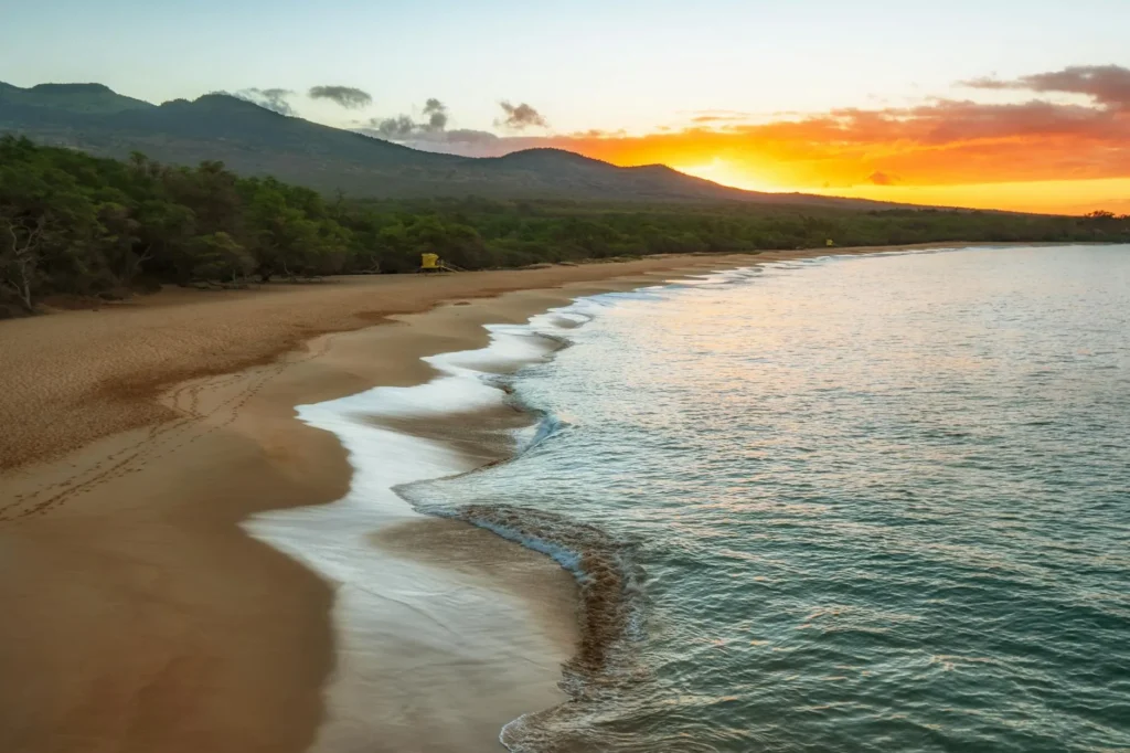 Maui’s Housing War: Is Banning Vacation Rentals the Cure or Just More Chaos?
