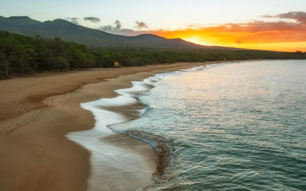 Maui’s Housing War: Is Banning Vacation Rentals the Cure or Just More Chaos?