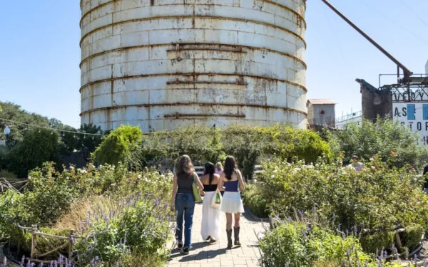 The “Magnolia Effect” and the Law: Navigating Waco’s Short-Term Rental Ordinances in 2026