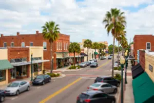 Palmetto